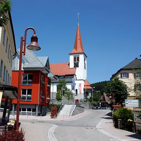 Ferienwohnung Brasil, 76 Qm Schonach im Schwarzwald Exterior photo